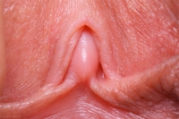 Glans clitoridis